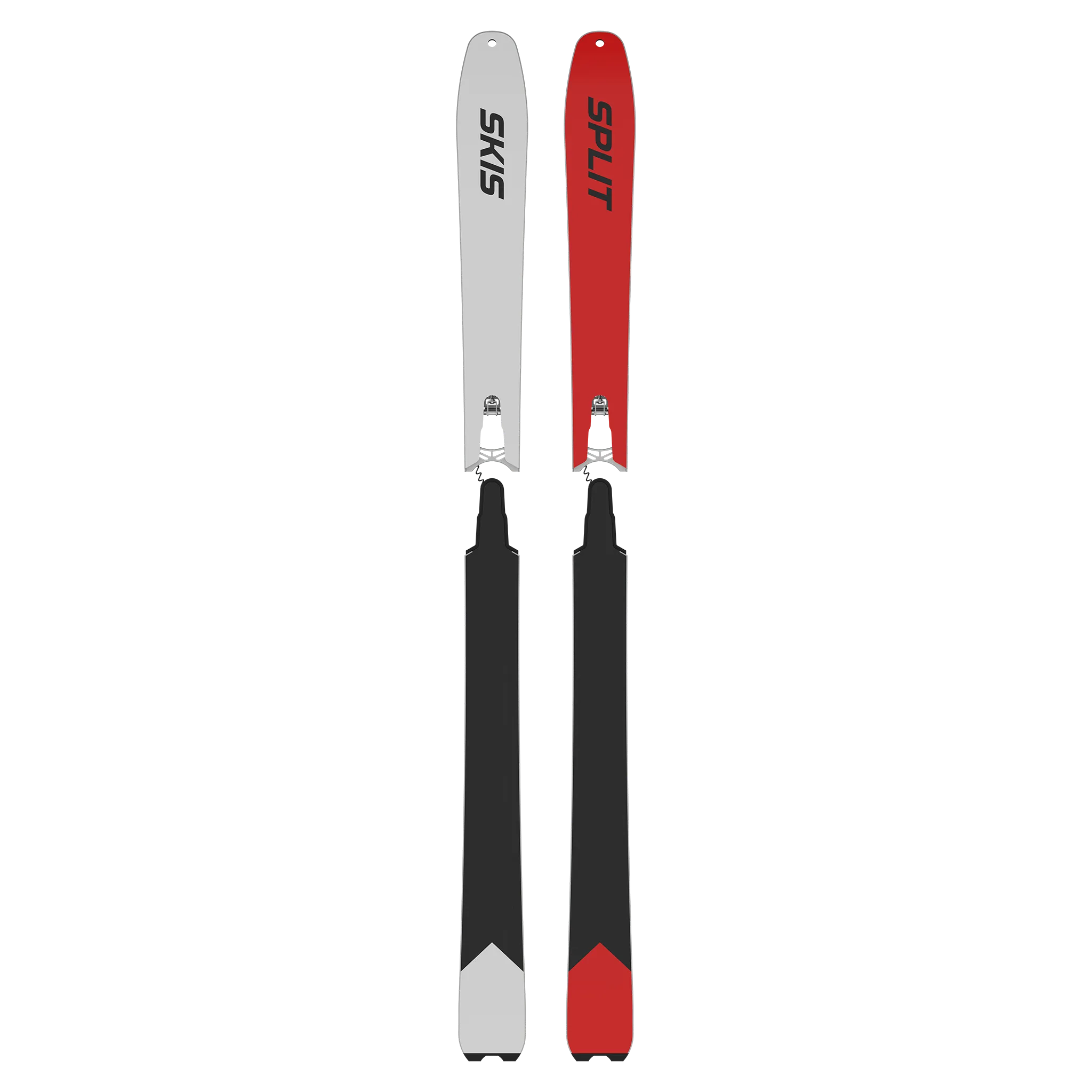 Split Skis Free Tour